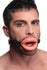 Oral Sex Mouth Gag Image 4