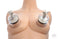 XL Nipple Suckers Image 2