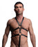 Male Body Harness Image 1