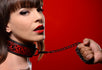 Crimson Tied Collar and Leash Image 1