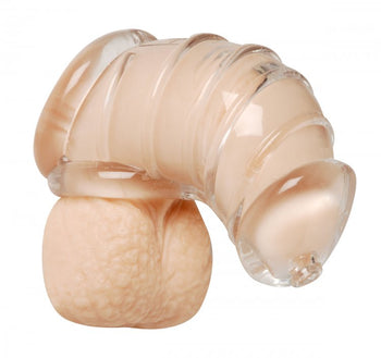 Detained Soft Body Chastity Cage Image 1