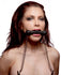 Equine Silicone Bit Gag with Nipple Clamps Image 1