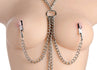 Collar Nipple and Labia Clamp Set Image 2