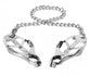 Chain Linked Nipple Clamps Image 1