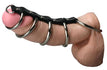 Strict Leather Gates of Hell Chastity Device