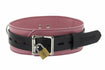 Black and Pink Locking Collar Image 2