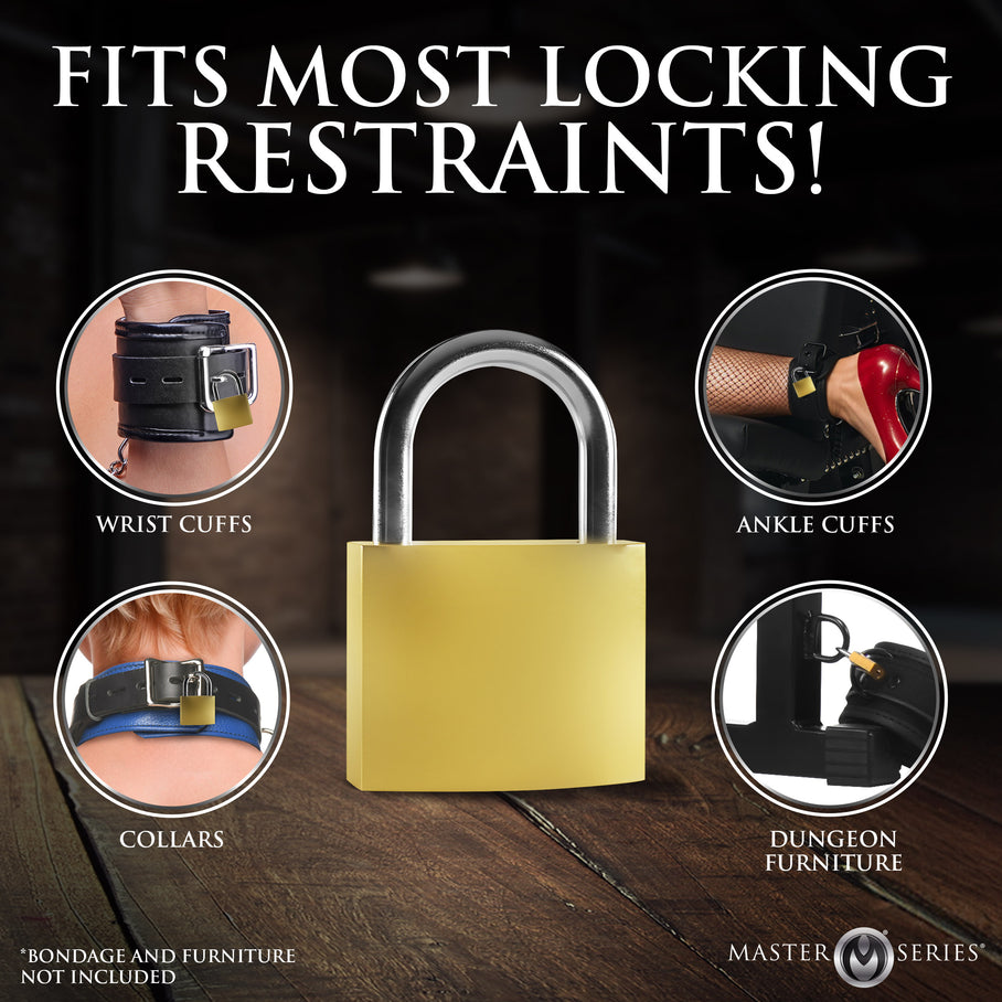 Padlock from the 4 pack lock set on a locking soft cuff