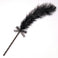 Frisky Feather Tickler