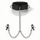 Submission Collar and Nipple Clamps