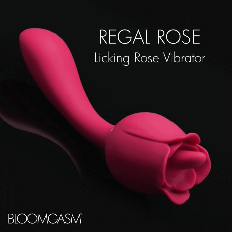 ansell lubricant personal Sex Toys Vibrator Rose Sex Toy Sucking Vibrater Adult Toys Rose Adult –  BlessMyBucket main image 0