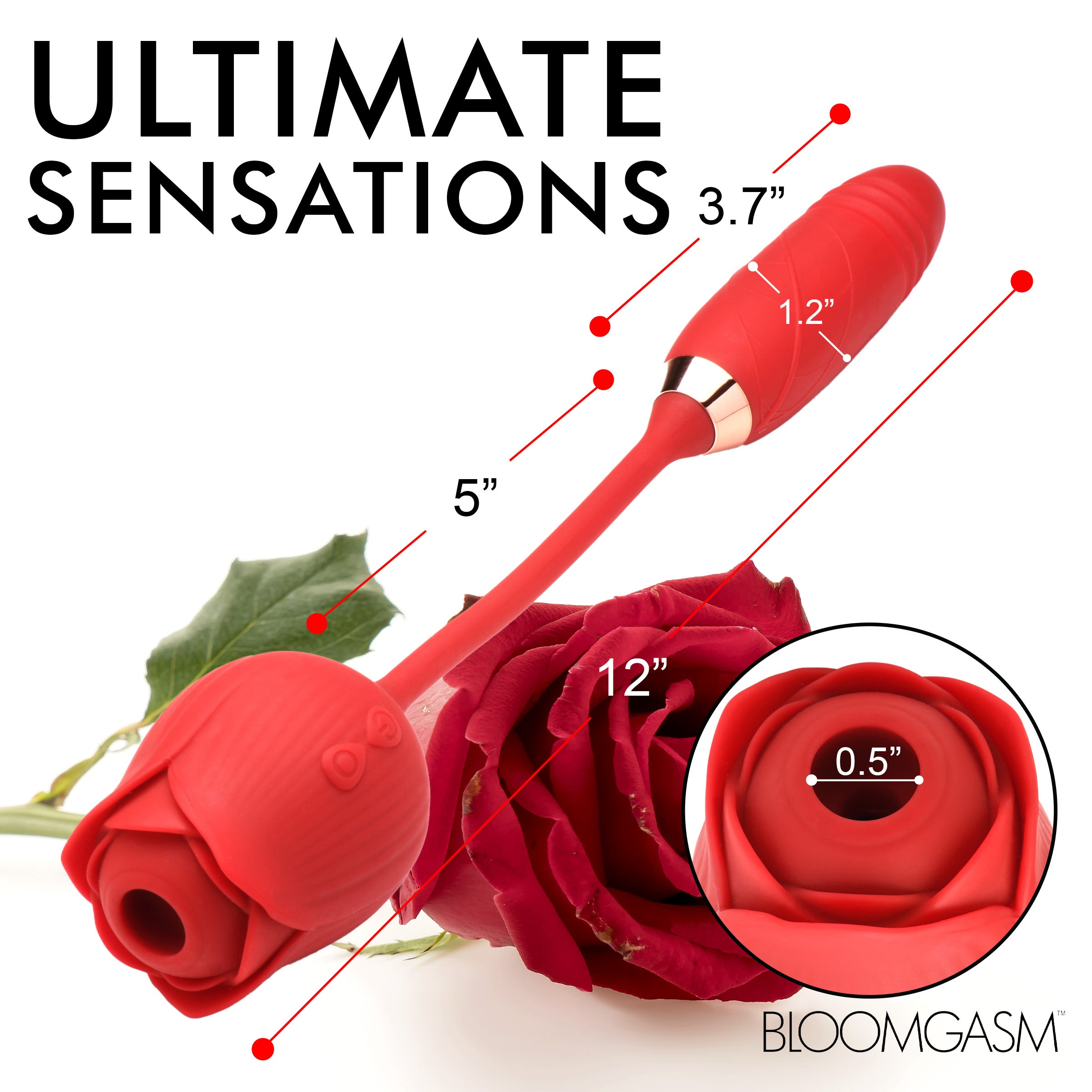 10X Romping Rose Suction and | 3 Speeds + 7 Patterns Healthy & Active 10X Romping Rose Suction and | 3 Speeds + 7 Patterns Healthy & Active