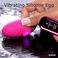 Vibrating Silicone Egg with Digital Remote