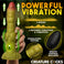 Eyegor Thrusting & Vibrating Silicone Dildo