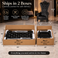Ultimate Throne Chair - Black | Free Shipping Included