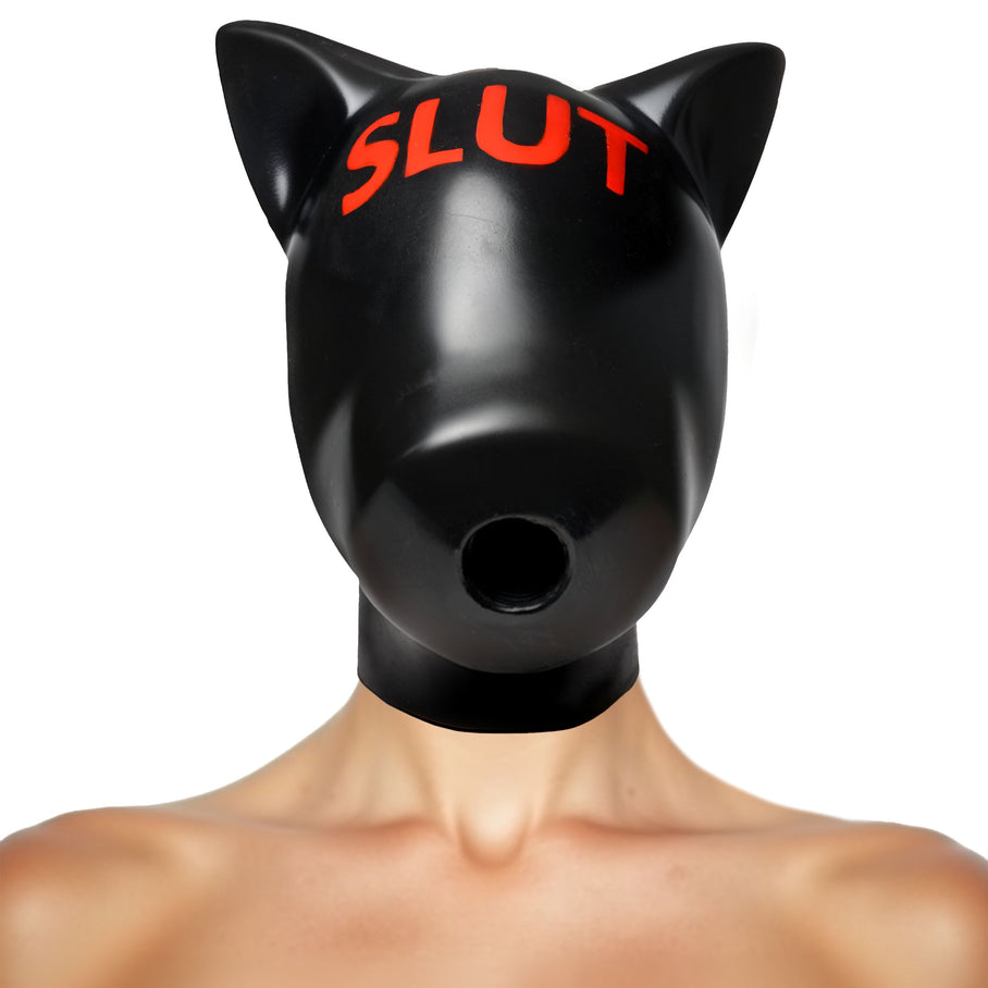 Pup ears on top of the slut Silicone Sensory Hood