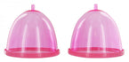 Pink Breast Pumps Image 2