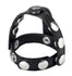 Snap-on Cock and Ball Harness Image 2