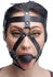 Head Harness with Ball Gag Image 2