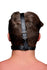 Head Harness and Ball Gag Image 2