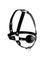 Head Harness and Ball Gag Image 3