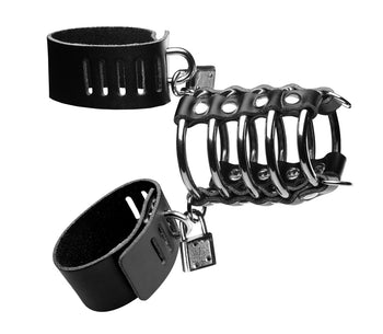 5 Ring Chastity Device with Cock and Ball Strap Image 3