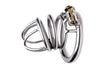 Pen Deluxe Stainless Steel Locking Chastity Cage Image 2