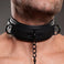 Adjustable Collar with Nipple Clamps