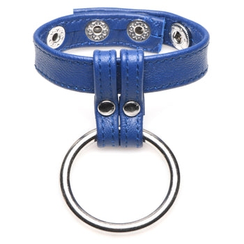 Blue Leather and Steel Penis and Ball Ring