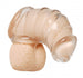 Detained Soft Body Chastity Cage Image 1