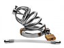 Steel Chastity Cage with Urethral Insert Image 2