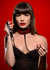 Crimson Tied Collar and Leash Image 2
