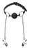 Hinder Ball Gag with Nipple Clamps Image 2