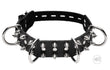 Spiked Collar and Leash Set