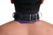 Strict Leather Black and Purple Blindfold