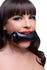 Padded Pillow Mouth Gag Image 1