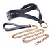 Black and Gold Collar with Leash Kit