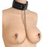 Coveted Collar with Nipple Clamp Attachment