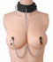 Submission Collar and Nipple Clamps Image 1