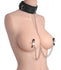 Submission Collar and Nipple Clamps Image 3