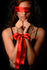 Scarlett Sash Restraints Image 1