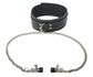 Coveted Collar with Nipple Clamp Attachment Image 1