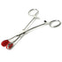 Young Forceps Image 1