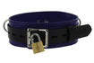 Strict Leather Black/Blue Locking Collar Image 2